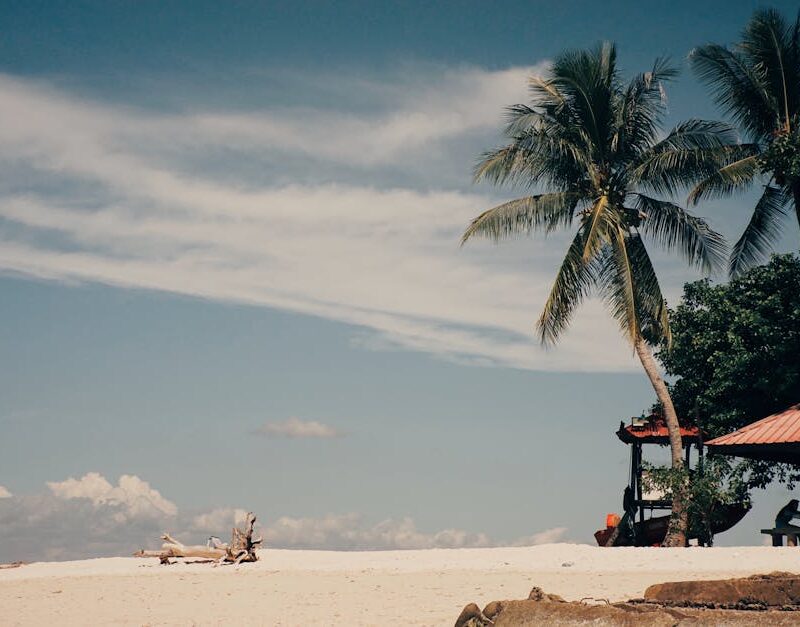 Beach Scenery - Serene beach scene featuring palm trees, white s #14570524