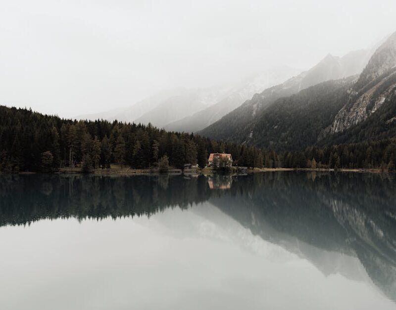 Lake Reflections - Serene lake scene reflecting dense forest and mo #14730091