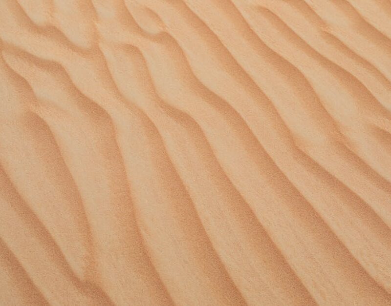 Desert Wilderness - A serene view of golden sand dunes with smooth t #1527934