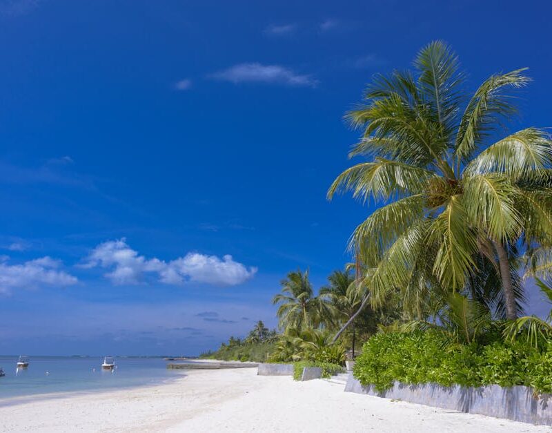 Beach Scenery - Relaxing tropical beach scene in Maldives with p #1591379