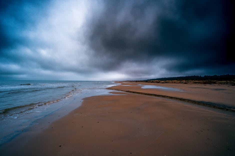 Beach Scenery - Majestic view of a sandy beach with a striking o #16628980