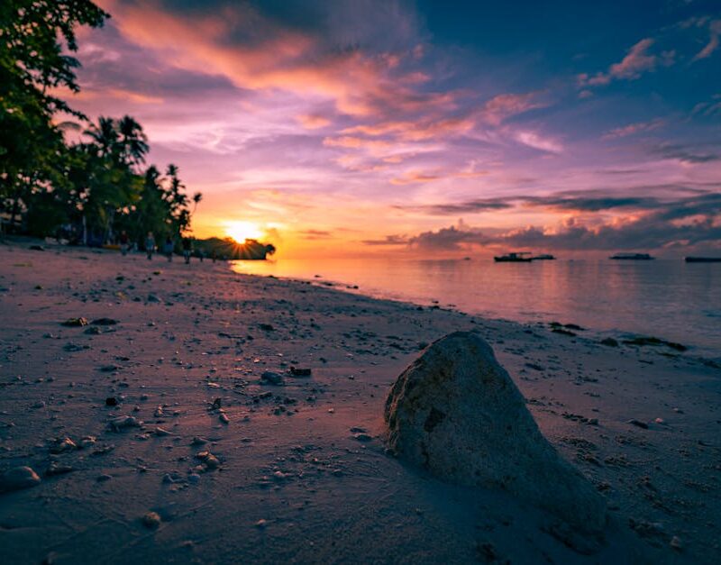 Beach Scenery - Beautiful sunset view with palm trees and rocks #16698817