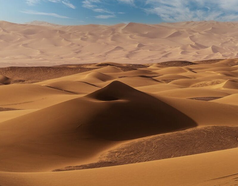 Desert Wilderness - Stunning view of endless sand dunes under a brig #16908866