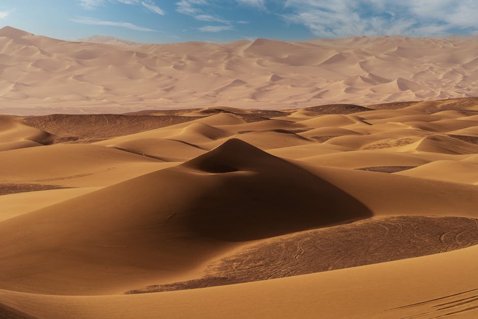 Desert Wilderness - Stunning view of endless sand dunes under a brig #16908866