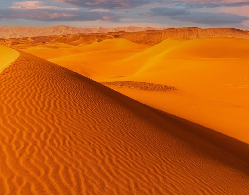 Desert Wilderness - Captivating view of golden sand dunes with textu #16908873