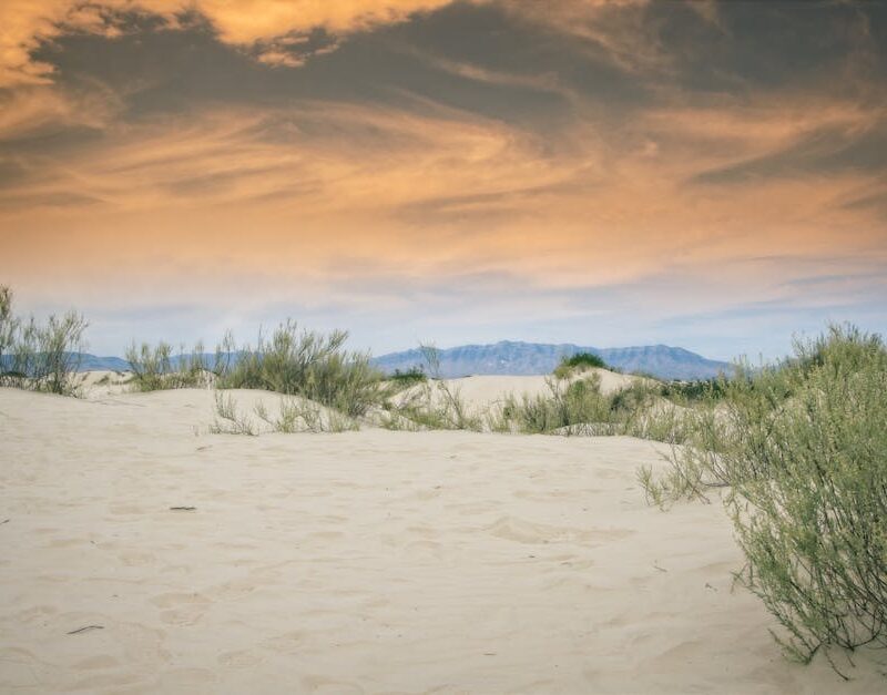 Desert Wilderness - Beautiful view of White Sands dunes under a vibr #17380113