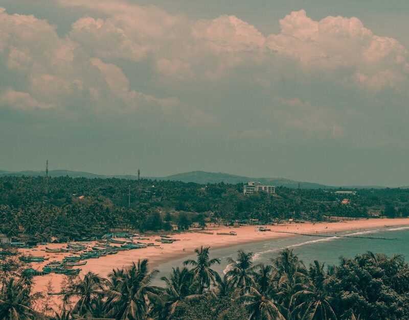 Beach Scenery - A tropical beach with palm trees, clear skies, a #17679879