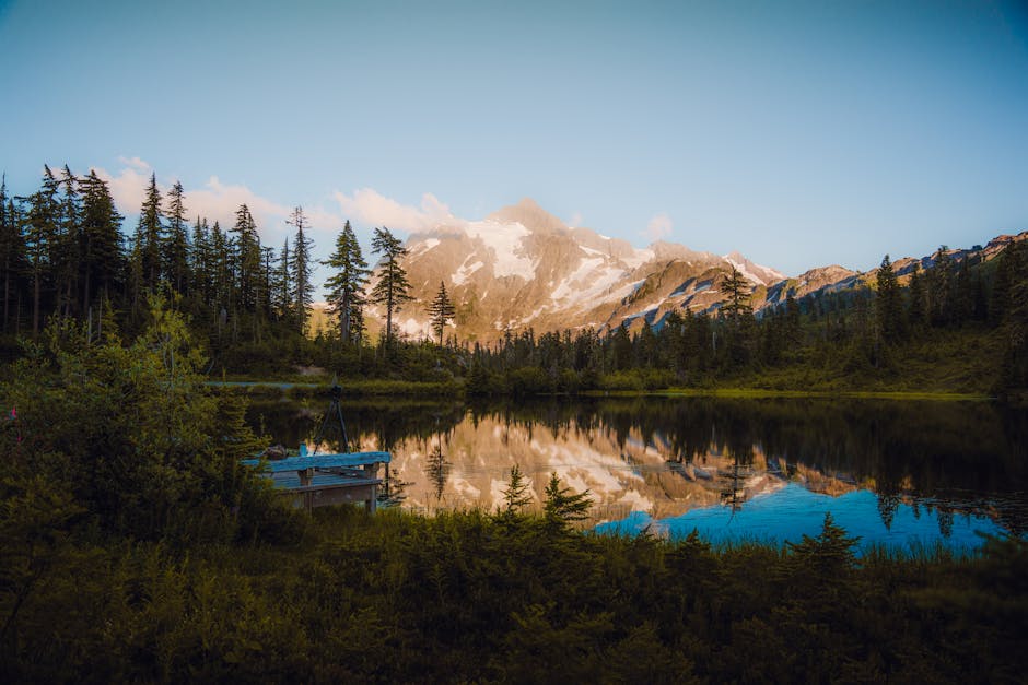 Lake Reflections - A peaceful mountain lake reflecting trees and sn #17841936