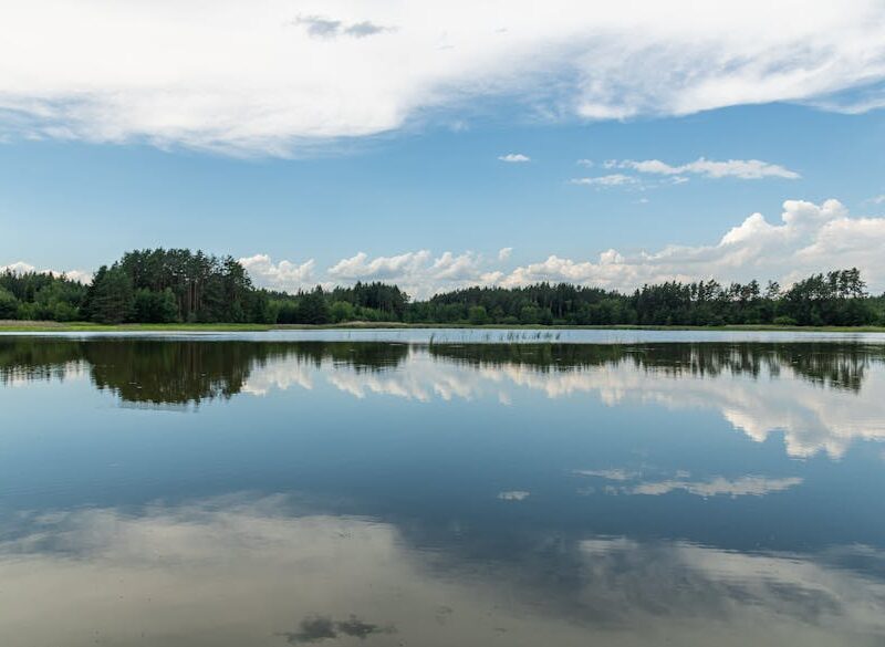 Lake Reflections - Peaceful lake scene with forest reflection, capt #17863811