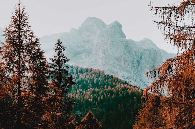 Forest Nature - A picturesque mountain landscape featuring autum #19779585