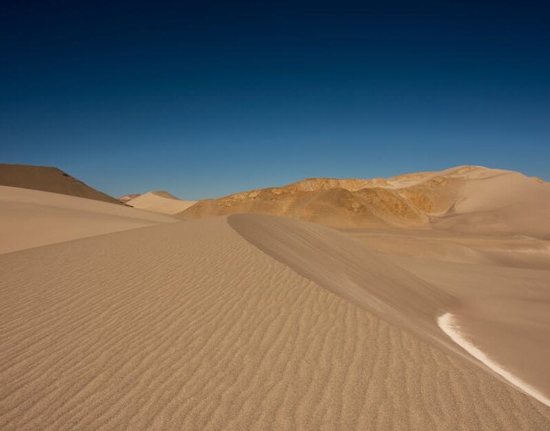 Desert Wilderness - Expansive desert landscape with sandy dunes unde #19911400