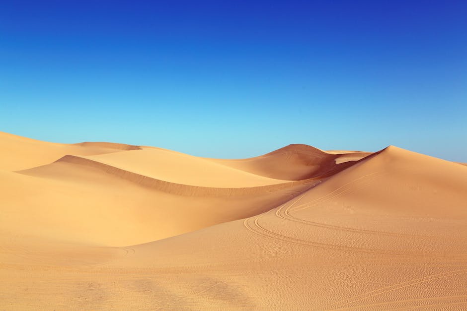 Desert Wilderness - Expansive sand dunes under a bright blue sky, ca #210307