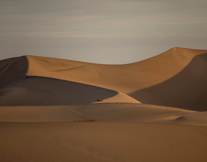 Desert Wilderness - Explore majestic sand dunes in the desert with p #28638802