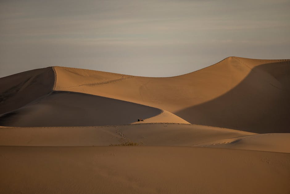 Desert Wilderness - Explore majestic sand dunes in the desert with p #28638802