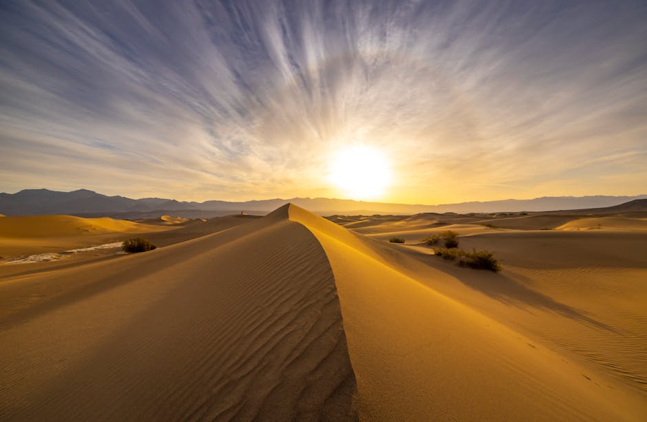 Desert Wilderness - Stunning sunset over desert sand dunes with vibr #28639218