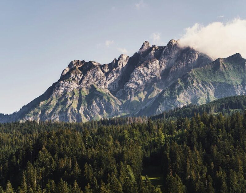 Mountain Landscapes - A stunning mountain view with lush green forest  #28829669