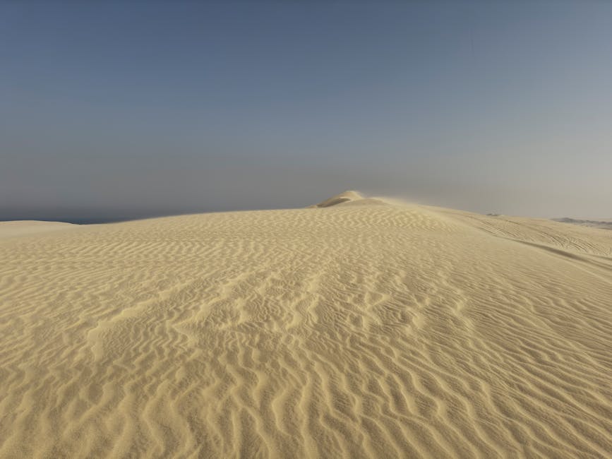 Desert Wilderness - Serene desert landscape with golden sand dunes u #29147681
