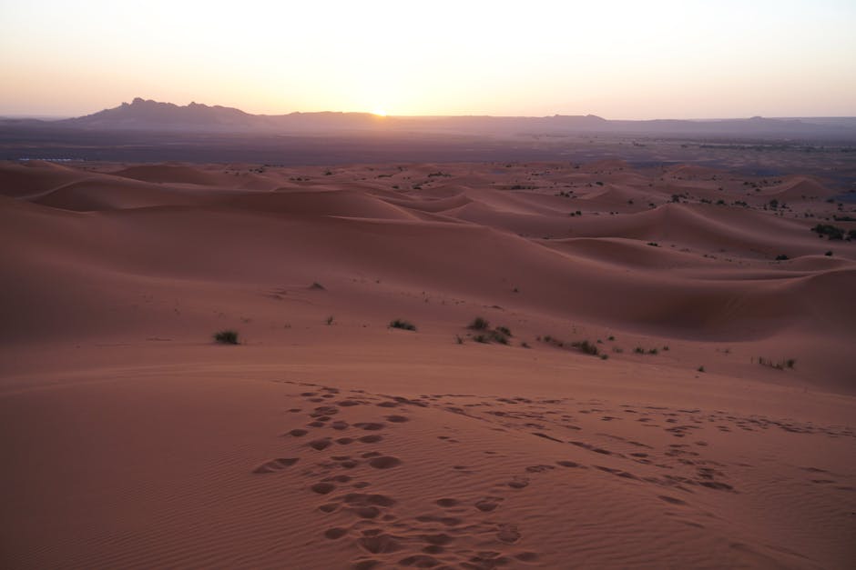Desert Wilderness - Beautiful sunrise over the sand dunes of Merzoug #30099211
