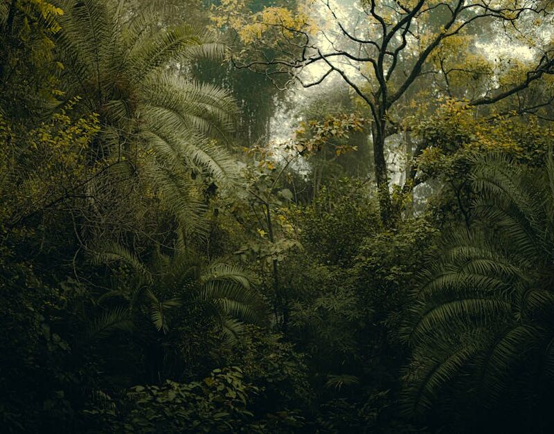 Forest Nature - A dense and vibrant jungle scene in Rishikesh, I #30201600