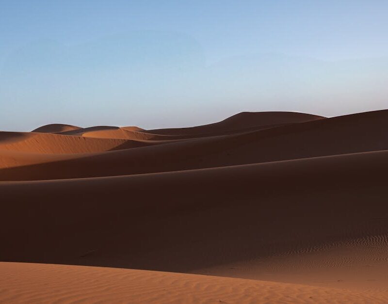 Desert Wilderness - Serene desert landscape with golden sand dunes u #31323730