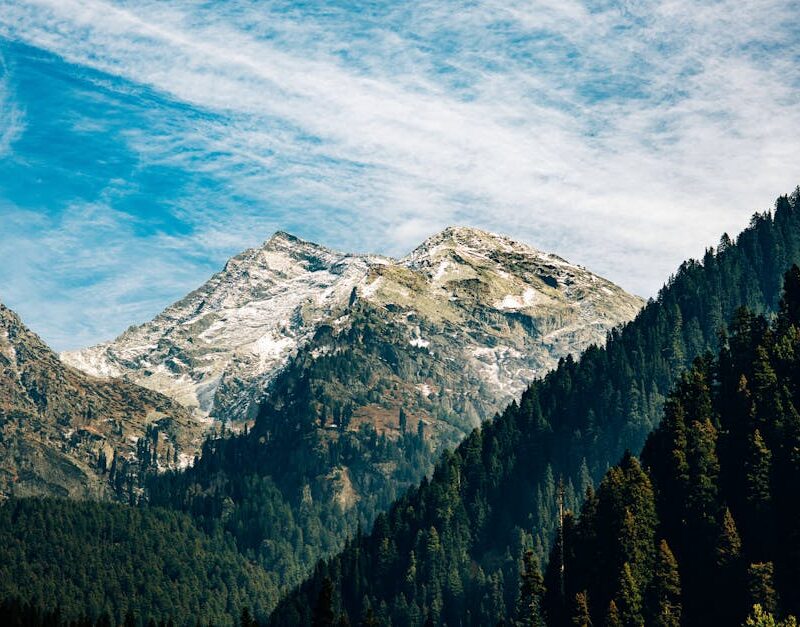 Mountain Landscapes - Snow-capped mountains with lush forests under a #31385917