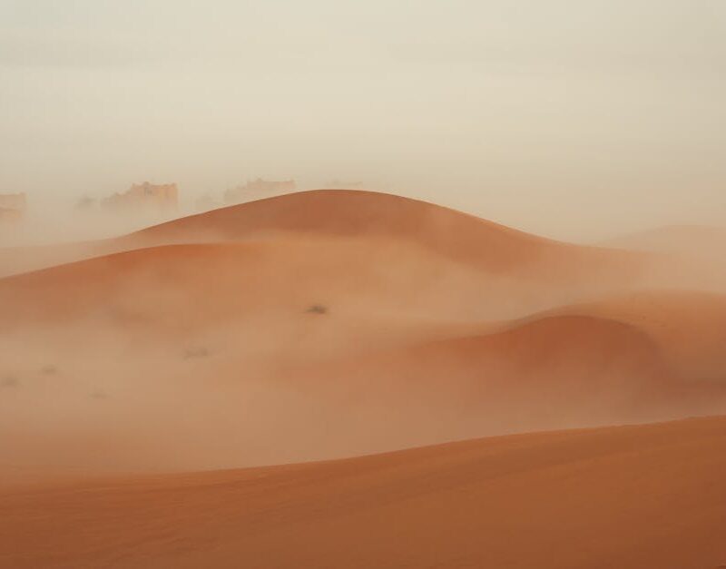 Desert Wilderness - Captivating view of misty sand dunes enveloped i #31415633