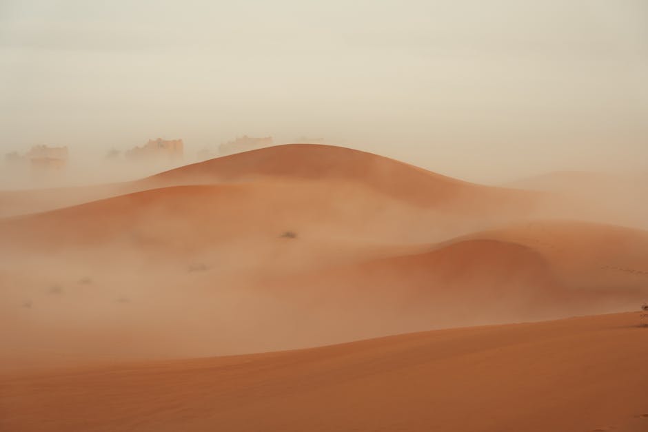 Desert Wilderness - Captivating view of misty sand dunes enveloped i #31415633