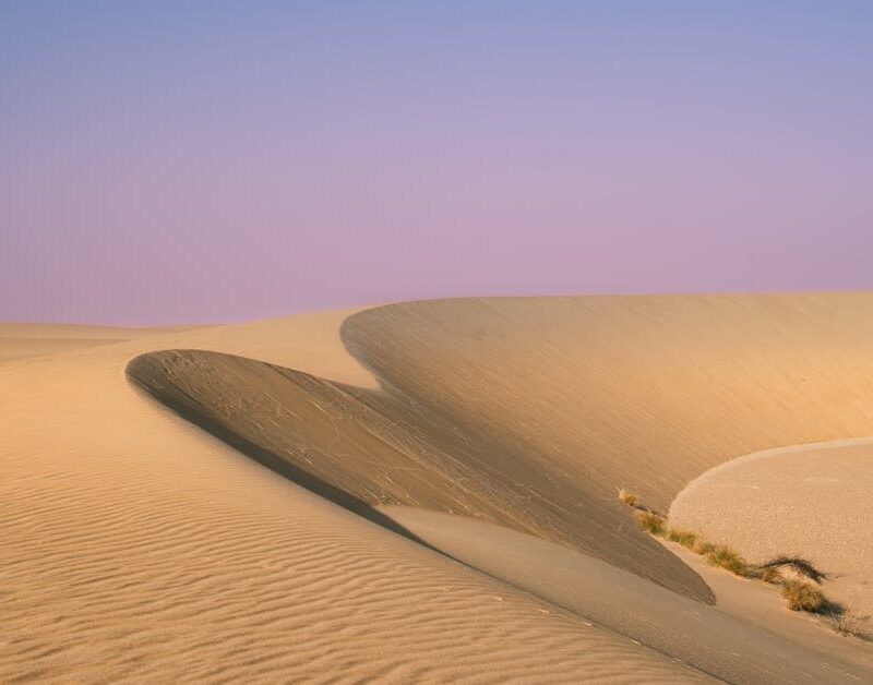 Desert Wilderness - Stunning view of serene sand dunes under a paste #31744093
