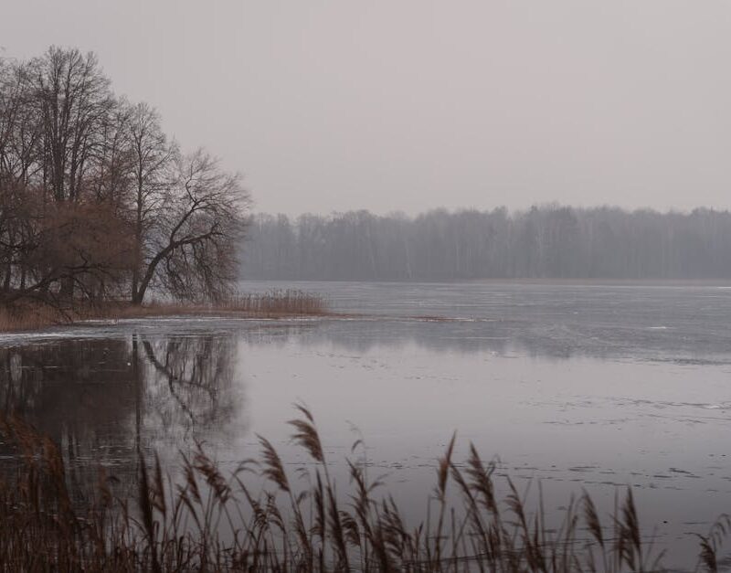 Lake Reflections - A serene and misty winter lakeside view with tra #31782917