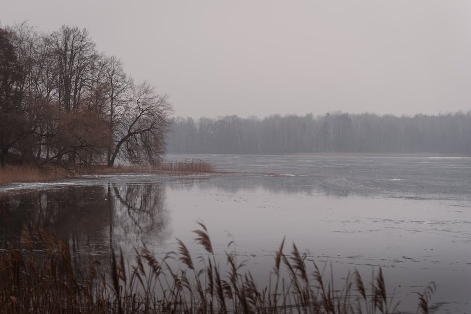 Lake Reflections - A serene and misty winter lakeside view with tra #31782917