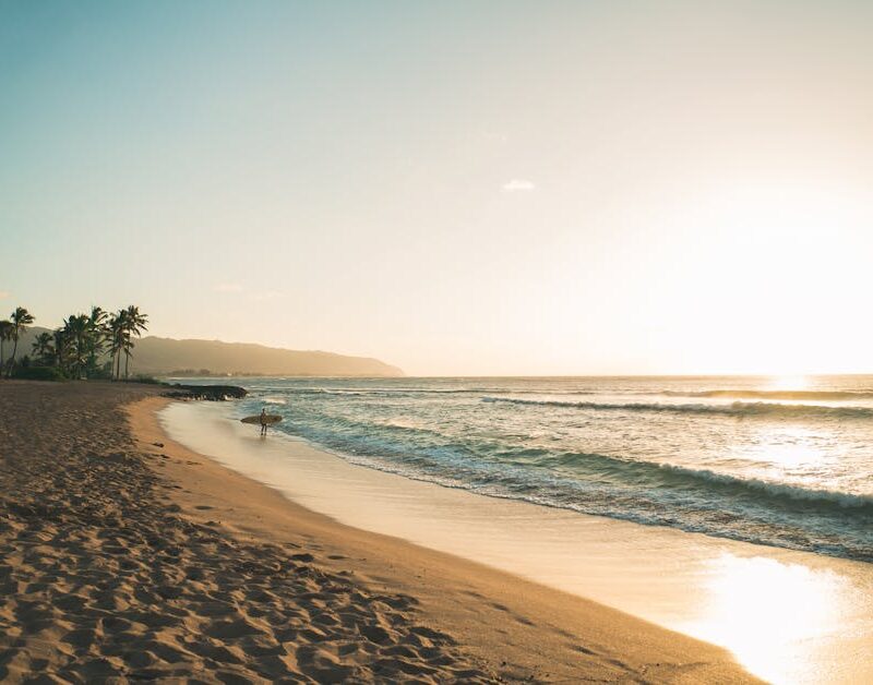 Beach Scenery - Experience the tranquil beauty of Waialua beach  #3369571