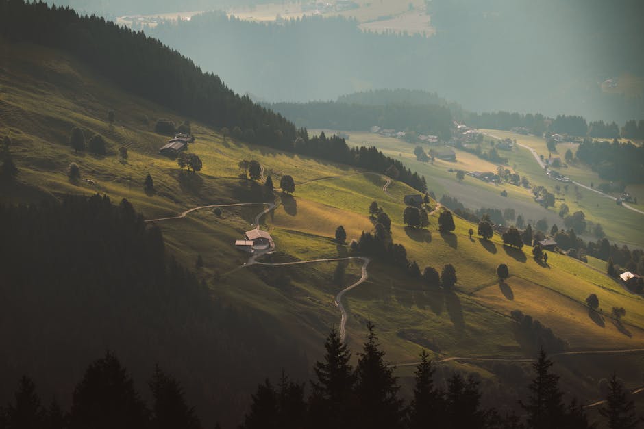 Mountain Landscapes - Early morning sunlight bathes the peaceful rolli #33771535