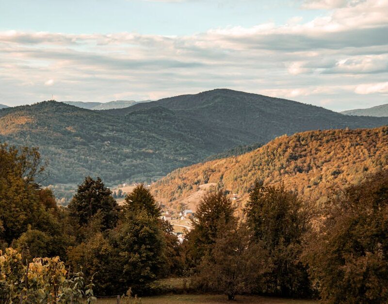 Forest Nature - Explore the serene autumn scenery of Čajniče, Bo #34144051