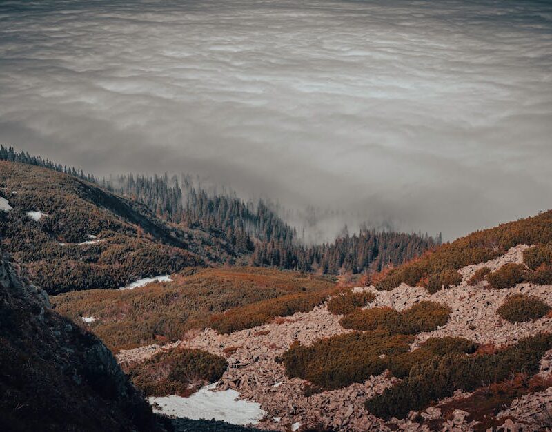 Forest Nature - Stunning view of a mountain landscape with cloud #34169630