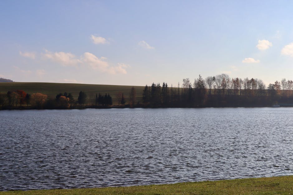 Lake Reflections - Serene lake view with trees and rolling hills in #34639701