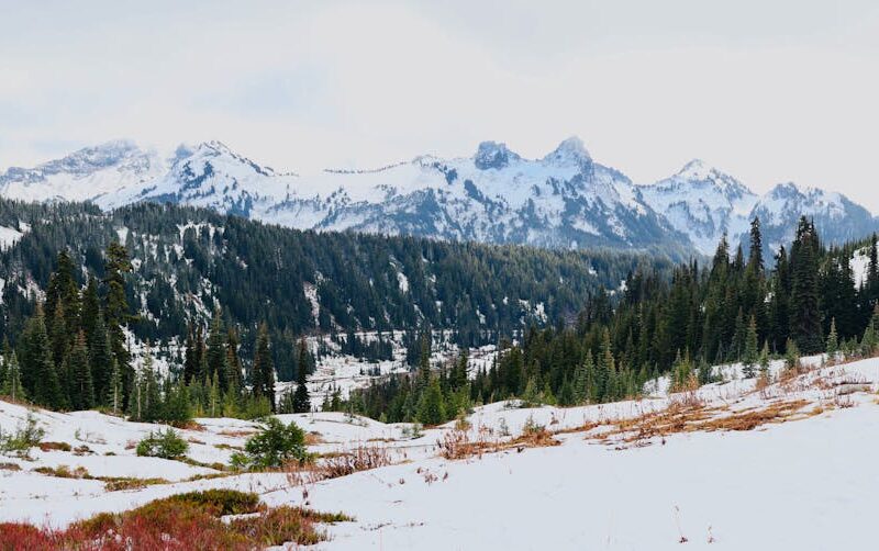 Snow Mountains - Scenic view of snowy mountains and evergreen for #35116461