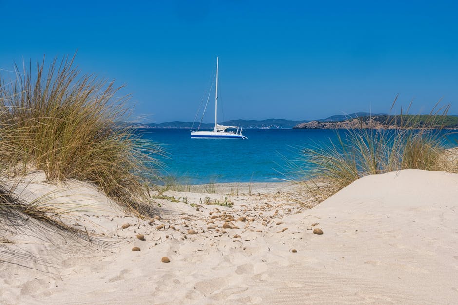 Beach Scenery - Idyllic beach view with a sailboat on clear blue #35141854