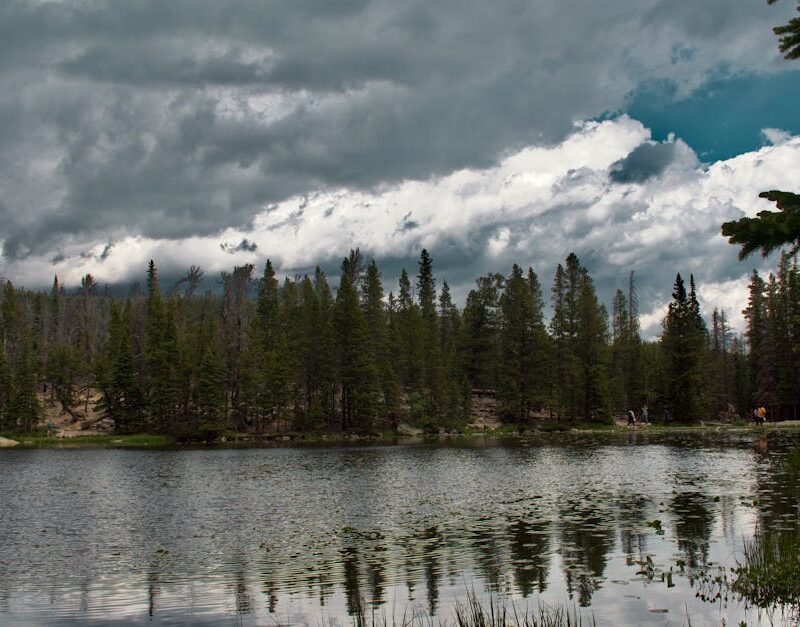 Lake Reflections - Calm lake surrounded by dense forest under drama #35174817