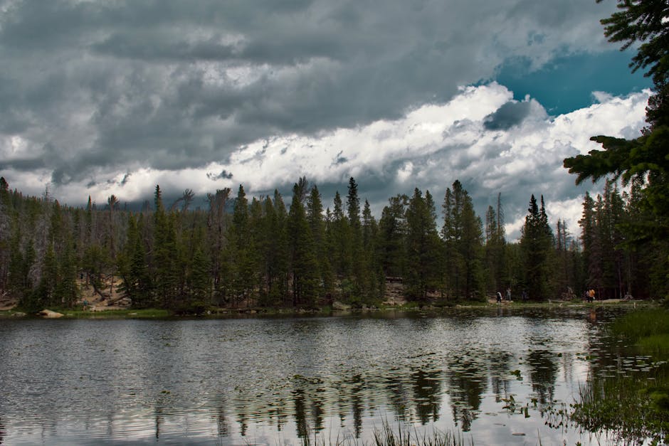 Lake Reflections - Calm lake surrounded by dense forest under drama #35174817