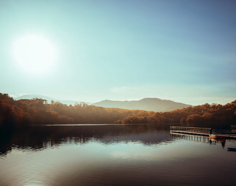 Lake Reflections - Peaceful morning at a lake in Itō, Japan, with t #35190508