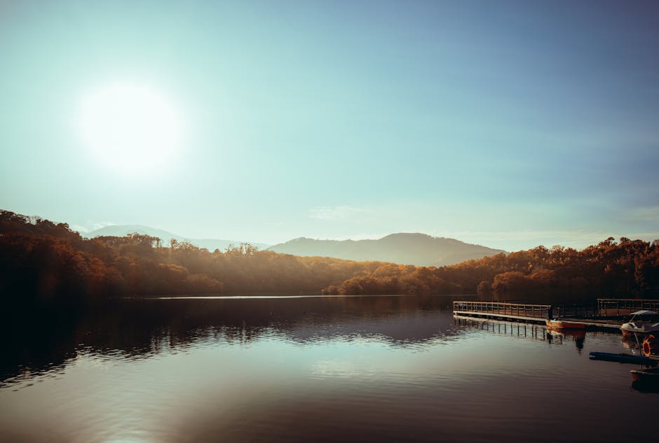 Lake Reflections - Peaceful morning at a lake in Itō, Japan, with t #35190508