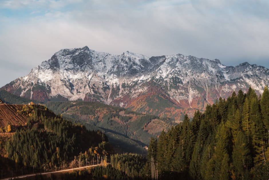 Mountain Landscapes - Beautiful autumn view of snow-capped Alps surrou #35866133