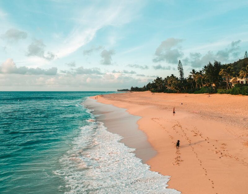 Beach Scenery - Explore a serene sandy beach with turquoise wate #4783754