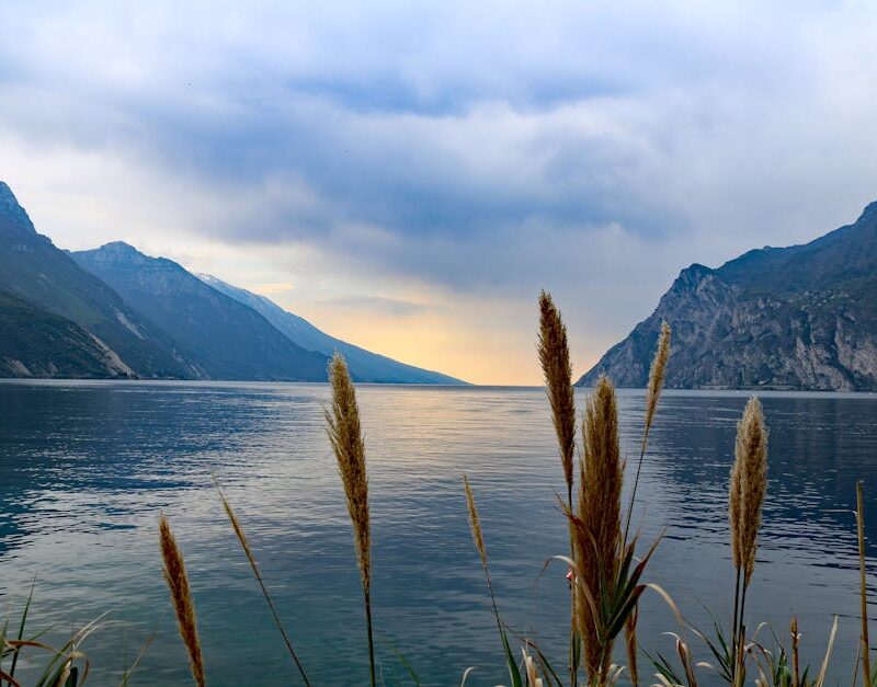 Lake Reflections - Serene landscape of a tranquil lake surrounded b #533854