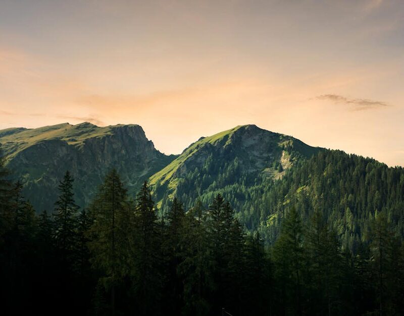 Forest Nature - Breathtaking view of mountains and forest at sun #5532420