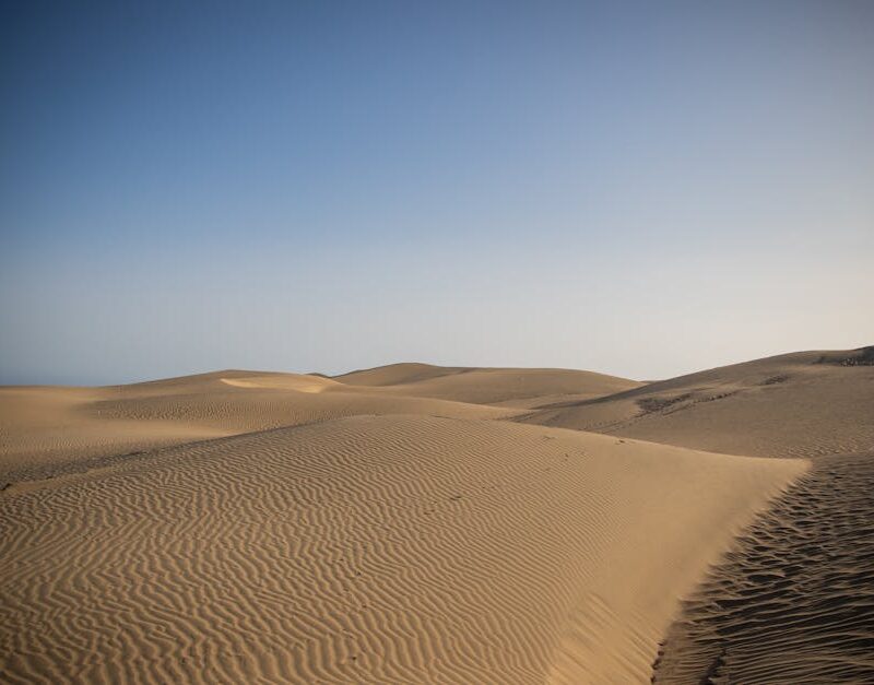 Desert Wilderness - Serene view of the vast sand dunes at Maspalomas #6920655