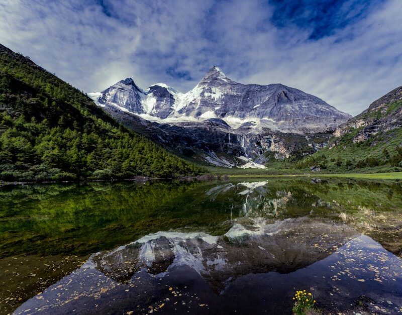 Forest Nature - Stunning snow-capped mountains reflected in a tr #7404451