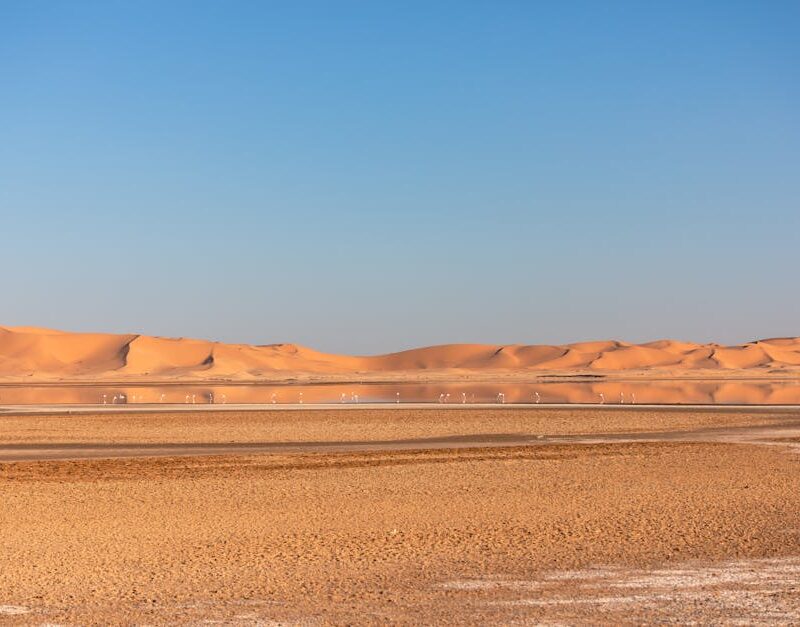 Desert Wilderness - Serene view of Algeria's Sahara Desert showing e #9337306