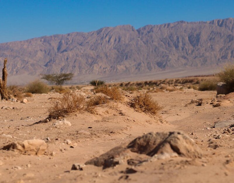 Desert Wilderness - A vast, dry desert landscape with rugged mountai #9359348